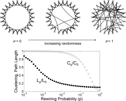 Illustration of the graph construction. Image from mmd.org