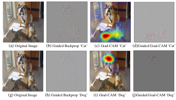 Figure 2: Different outputs of the explained algorithms for the same image but 2 different classes $y^c$.Notice how Guided Grad-CAM removes cat features over the dog face by combining the Guided Backprop result with the Grad-CAM result.